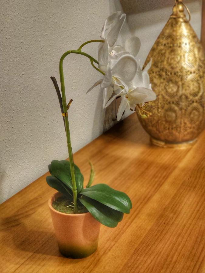 Apartament Namaste Avilés Zewnętrze zdjęcie